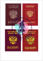 Картинка "Паспорт рф"