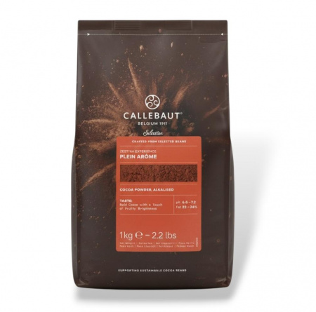 Какао-порошок "Plein Arome" Плей Арома Cacao Barry алкализированный 100гр